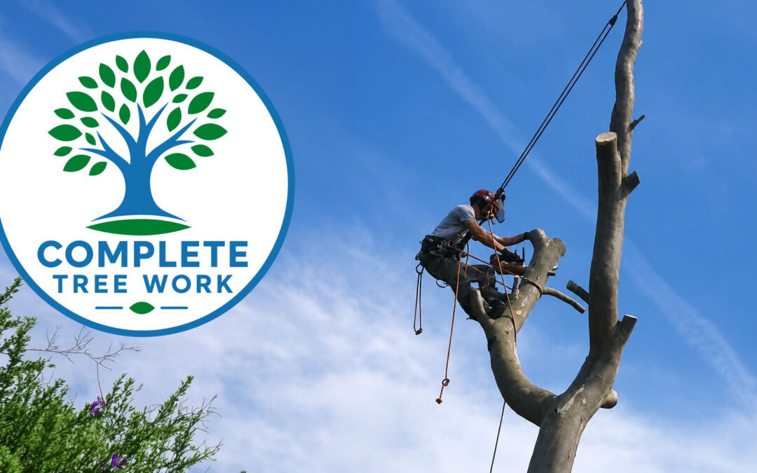 Complete Tree Work
